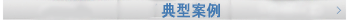典型案例